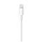 APPLE Lightning - USB kábel (1m) MXLY2ZM/A small