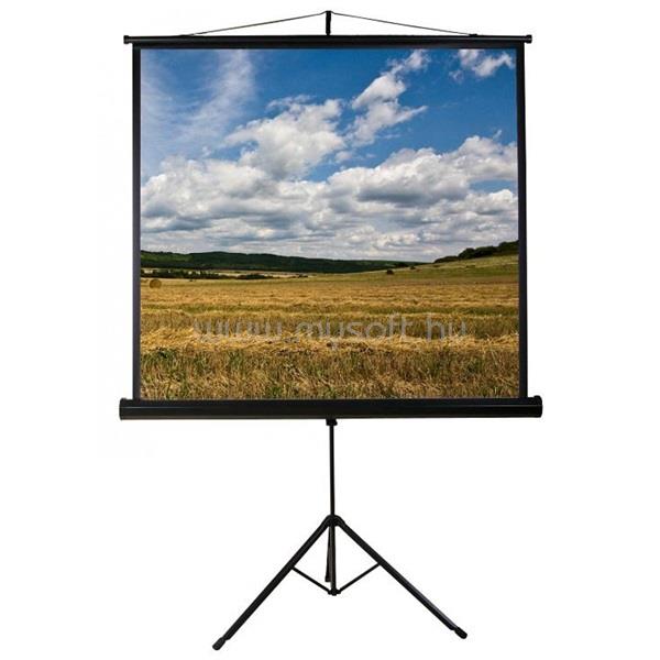 FUNSCREEN vetítővászon 1:1 180cm×180cm, hordozható, Tripod