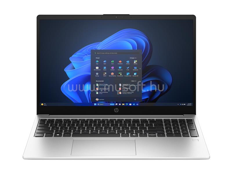 HP 250R G10 (Silver)