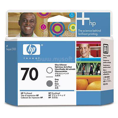 HP 70 Gloss Enhancer and Grey Printhead