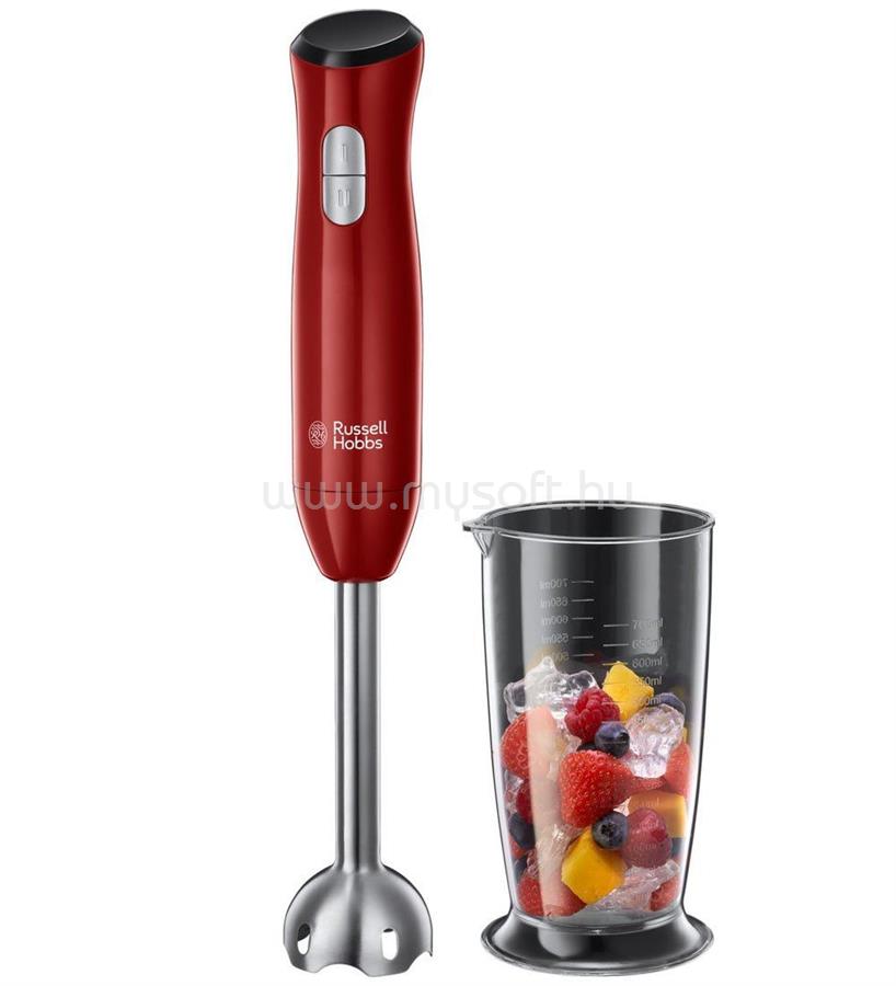RUSSELL HOBBS 24690-56 Desire botmixer