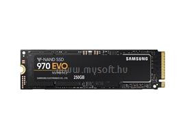 SAMSUNG SSD 250GB NVMe M.2 2280 970 EVO MZ-V7E250BW small