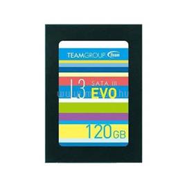 TEAMGROUP SSD 120GB L3 Evo T253LE120GTC101 small