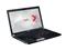 TOSHIBA Tecra R850-17C 3G (ezüst) PT520E-03M00RHU_16GBS256SSD_S small
