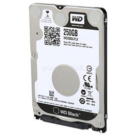 WESTERN DIGITAL OEM 2.5" HDD SATA 250GB 7200rpm 32MB Cache, WD Black WD2500LPLX small