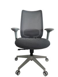 AARVEN Szürke, 4D kartámlás, deréktámaszos, Irodai forgószék DQ-1912B-H small