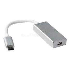 ACT USB type C to Mini DisplayPort female converter Grey SB0021 small
