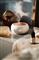 ADLER AROMA DIFFÚZOR 3IN1 AD7969 small