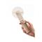 AECOOLY Pocket 01 Portable Handheld Fan Beige PF01-BEIGE small