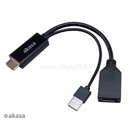 AKASA HDMI to DisplayPort Adapter cable AK-CBHD24-25BK small