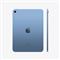 APPLE 10.9