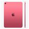 APPLE 11