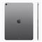 APPLE 13