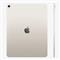 APPLE 13