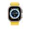 APPLE Watch 49mm Band: Yellow Ocean Band Extension MQED3ZM/A small