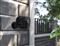 ARLO (acc.) Magnetic Wall Mount 2 Pack - Black VMA5001-10000S small