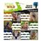 ARS UNA Icons of the Wild 25 (5492) 3x6 db füzetcímke ARS_UNA_53834928 small