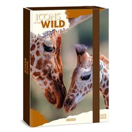 ARS UNA Icons of the Wild-Giraffes 25 (5505) A4 füzetbox ARS_UNA_50855056 small