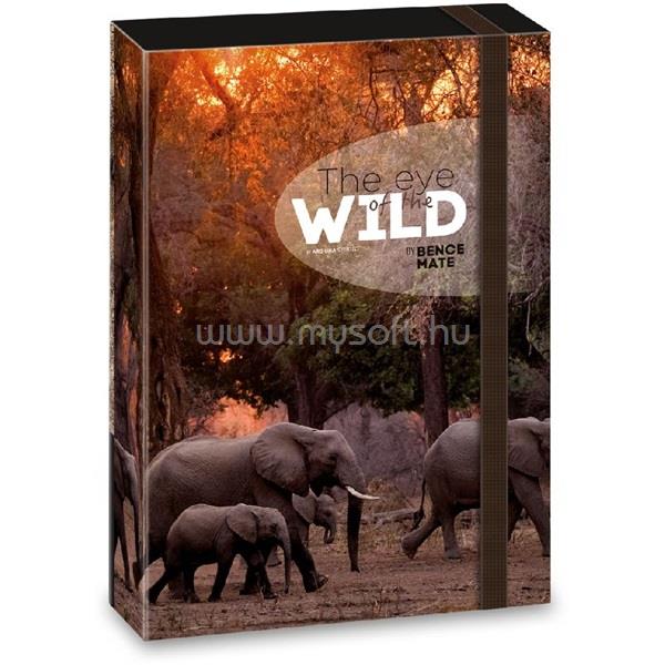 ARS UNA The eyes of the wild elephant 5217 A4 füzetbox