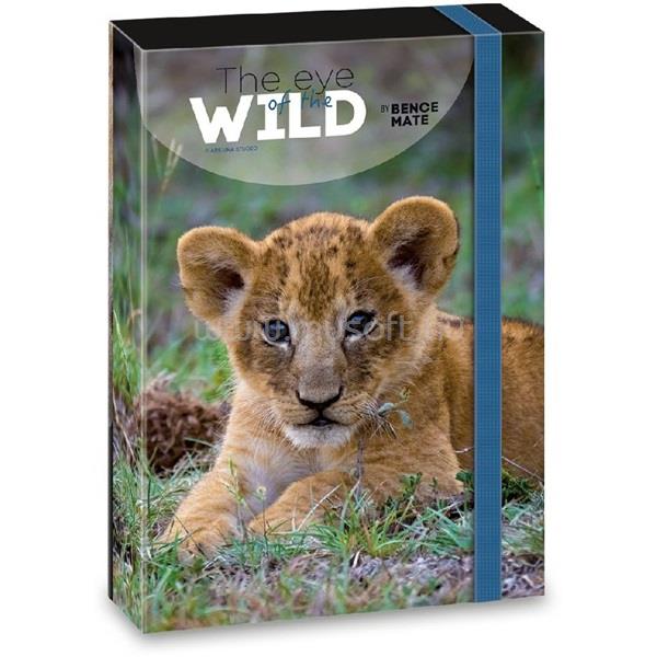 ARS UNA The eyes of the wild lion 5216 A4 füzetbox