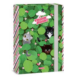 ARS UNA Think-Pink 25 (5462) A4 füzetbox ARS_UNA_50854622 small