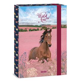 ARS UNA Wild And Free 24 (5359) A4 füzetbox ARS_UNA_50853595 small