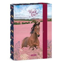 ARS UNA Wild And Free 24 (5359) A5 füzetbox ARS_UNA_50863594 small