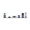 ASUS alaplap PRIME H610M-K ARGB (LGA1700, mATX) PRIME_H610M-K_ARGB small