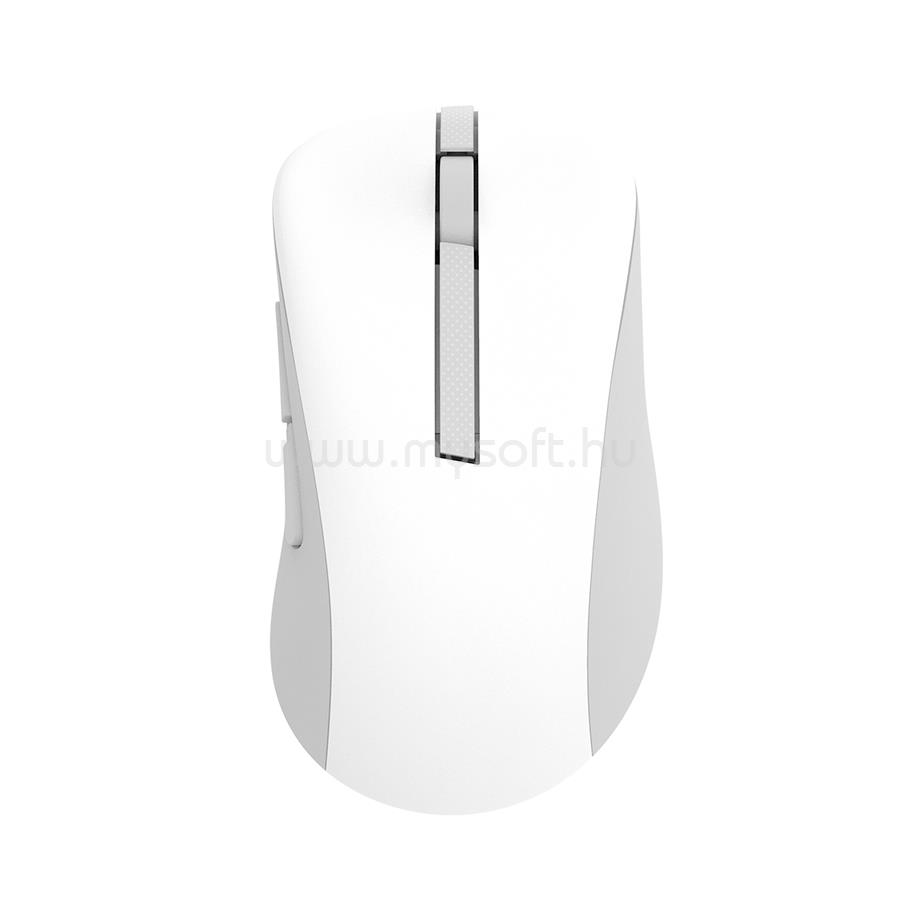 ASUS MD102 vezeték nélküli egér (fehér)