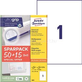 AVERY 6603 210x297 mm univerzális 50+15 lap 65 db-os etikett AVERY_6603 small