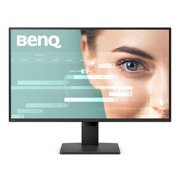 BENQ GW2490P Monitor