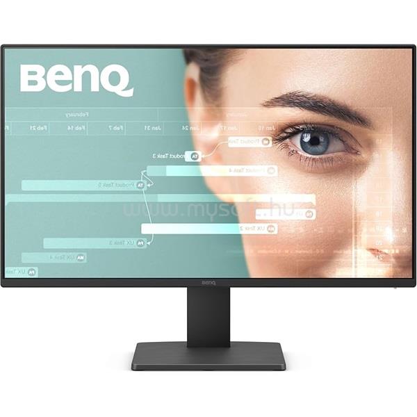 BENQ GW2491 Monitor