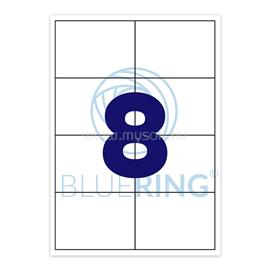 BLUERING Etikett címke, 99,1x67,7mm, 100 lap, 8 címke/lap Bluering BLUERING_64293 small