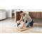 BOSCH 06019G8100 GSB 120-Li Professional 2x2,0Ah kofferben akkus ütvefúró-csavarozó 06019G8100 small