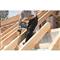 BOSCH Professional GBH 4-32 DFR fúrókalapács, SDS-plus (0611332100) BOSCH_0611332100 small