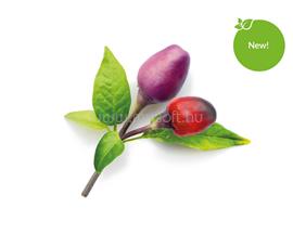 CLICKNGROW Lila Chili paprika növénykapszula 3 db SGR46X3 small