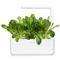 CLICKNGROW Római saláta növénykapszula 3 db SGR50X3 small