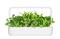 CLICKNGROW Saláta zöldmix növénykapszula 9 db PPMSAX9 small