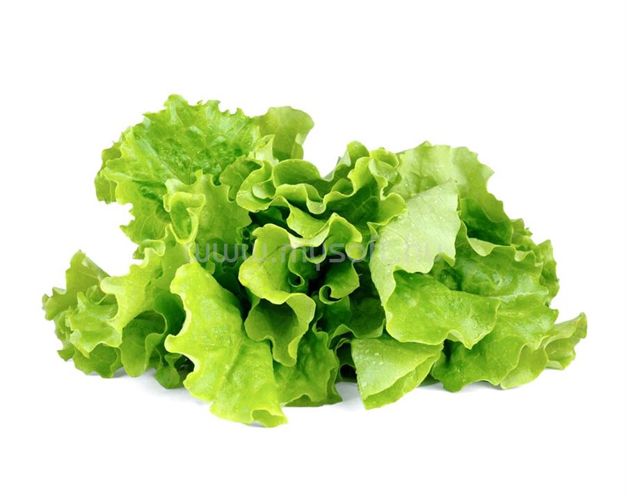 CLICKNGROW Zöld saláta növénykapszula 3 db