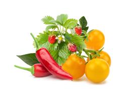 CLICKNGROW Zöldség-gyümölcs Mix növénykapszula 9 db PPMFVX9 small