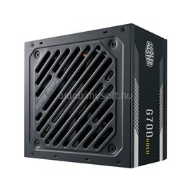 COOLER MASTER tápegység G700 700W 80+ Gold MPW-7001-ACAAG-NL small