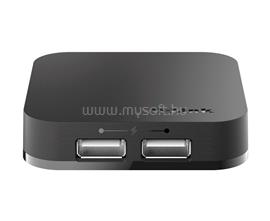 D-LINK DUB-H4/E 4-Port USB 2.0 Hub DUB-H4/E small