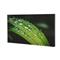 DAHUA UHD Video Wall Display Unit 1.7 55