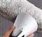 DEERMA TEXTILBOROTVA MQ600 small