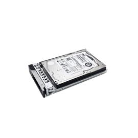 DELL 2.4TB 10K 2.5IN HOT-PLUG R35, R45, R55, R65, R66, R75, R76, T55, T56 161-BCHF small