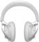 DELL Alienware Pro Wireless Gaming Headset - Lunar Light 545-BBFT small
