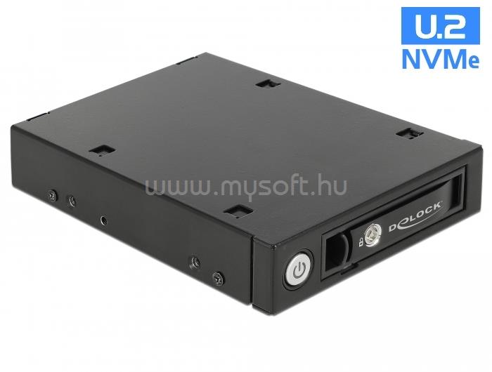 DELOCK 3.5  hordozható keret 1 db. 2.5  U.2 NVMe SSD vagy SATA / SAS HDD / SSD-hez
