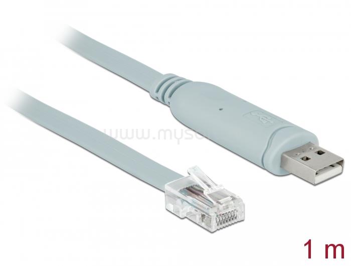 DELOCK Adapter USB 2.0 A-típusú apa > 1 x soros RS-232 RJ45 apa 1,0 m szürke