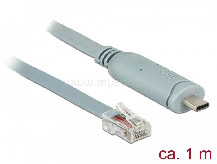 DELOCK Adapter USB 2.0 C-típusú apa > 1 x soros RS-232 RJ45 apa 1,0 m (szürke)