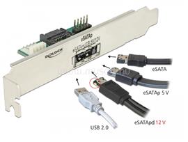 DELOCK Hátlapi lemez 1 x eSATApd 5 V / 12 V csatlakozóval DL63921 small